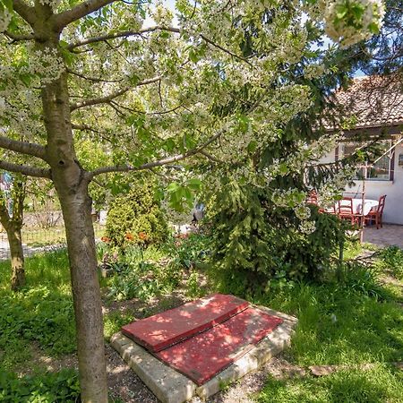 Old House Apartment Вама Веке Екстериор снимка